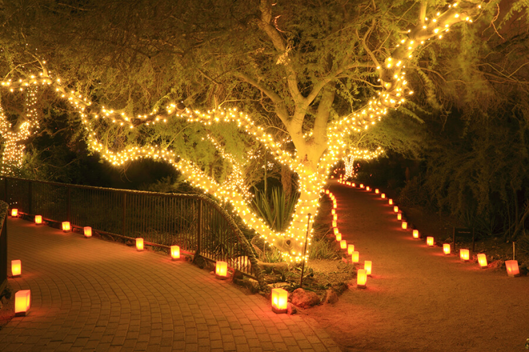 Christmas Lights LA holiday lighting display 3